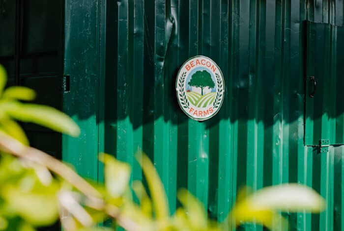 cayman cigars charity