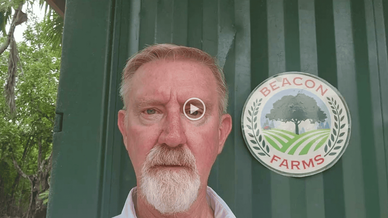 From Seed to Cigar