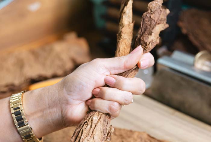 Impact of Cigar Production on Local Cayman Communities