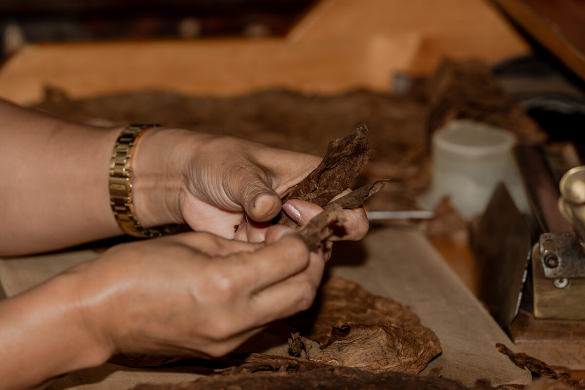 limited release cigars