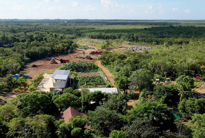 Beacon Farms - Cayman
